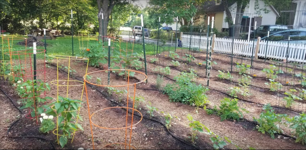 Bradley Circle Garden1